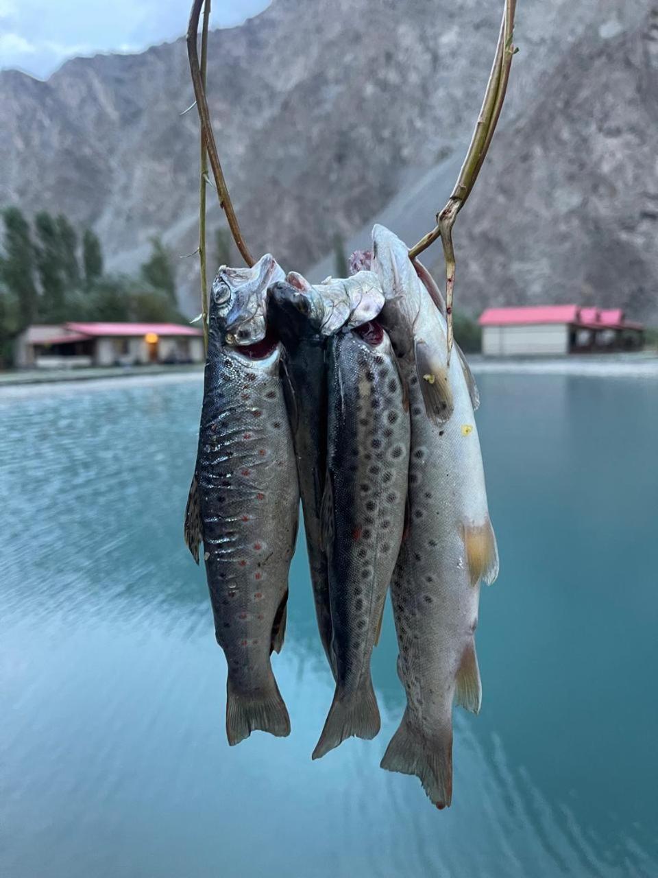 Dream Nest Resorts Skardu Kültér fotó